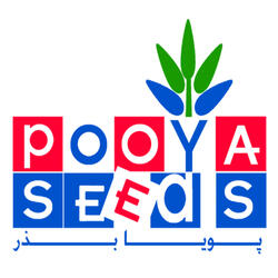 Saeed Khorasani Zadeh (Poya Bazr)