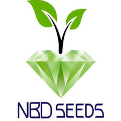 Negin Seed Company