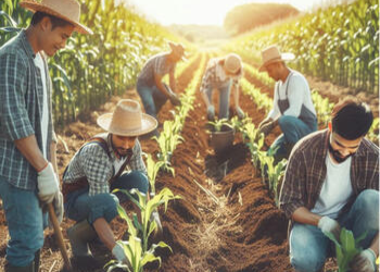 What the corn industry doesnt want you to know