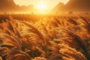 Lets make up for the shortage of fodder. Lets plant sorghum.